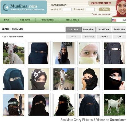 Gerrard Dating In Muslim France Sites