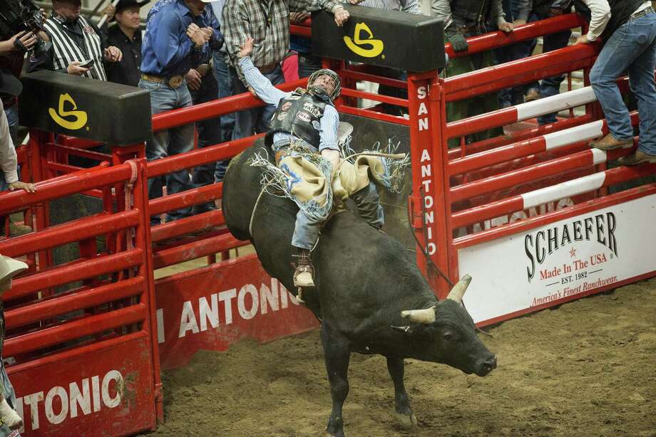 Bull San Antonio
