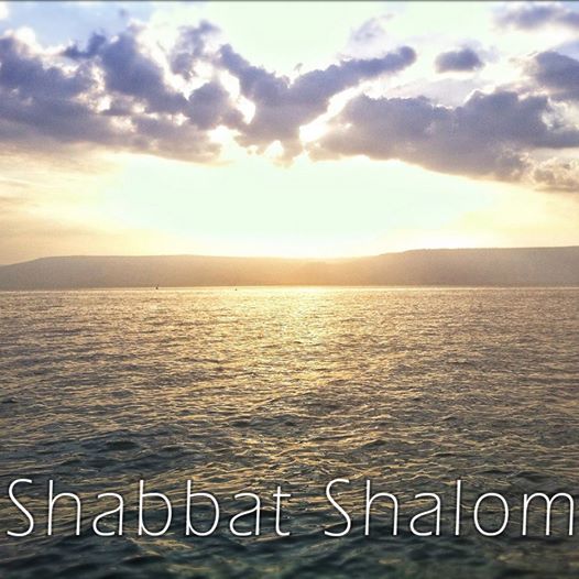 Shuter Weekend Pop-up Shalom Another Shabbat